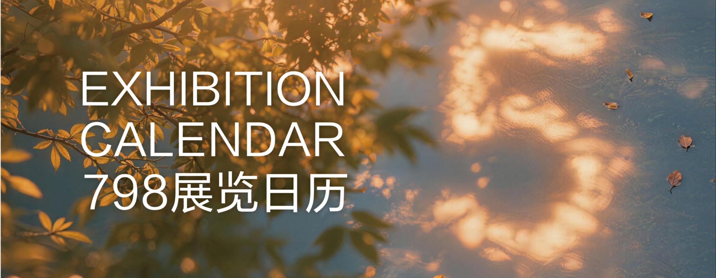 五月798展览日历